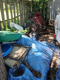 Yard Debris Removal example 1