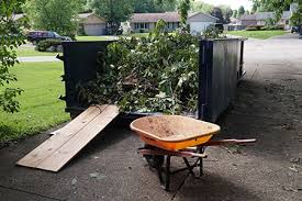 Yard Debris Removal example 2